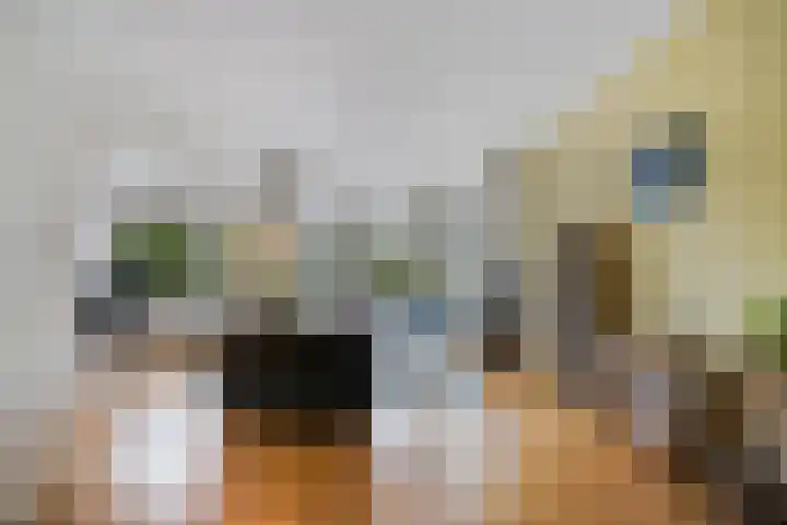 Laan van Meerdervoort 1286 Den Haag thumbnail 8