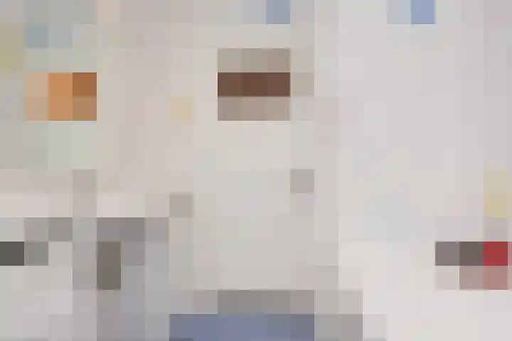 Laan van Meerdervoort 1299 Den Haag thumbnail 24