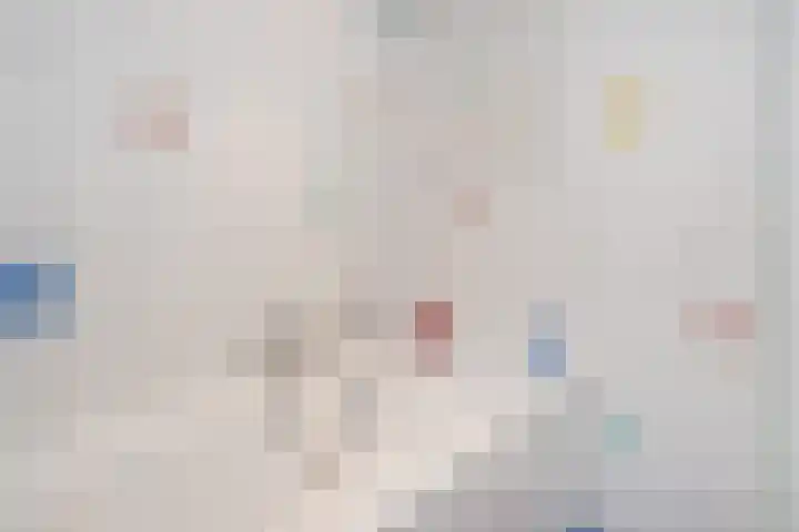 Laan van Meerdervoort 1299 Den Haag thumbnail 25