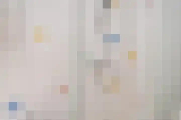 Laan van Meerdervoort 1299 Den Haag thumbnail 26