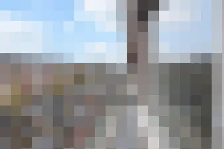 Laan van Meerdervoort 1299 Den Haag thumbnail 33