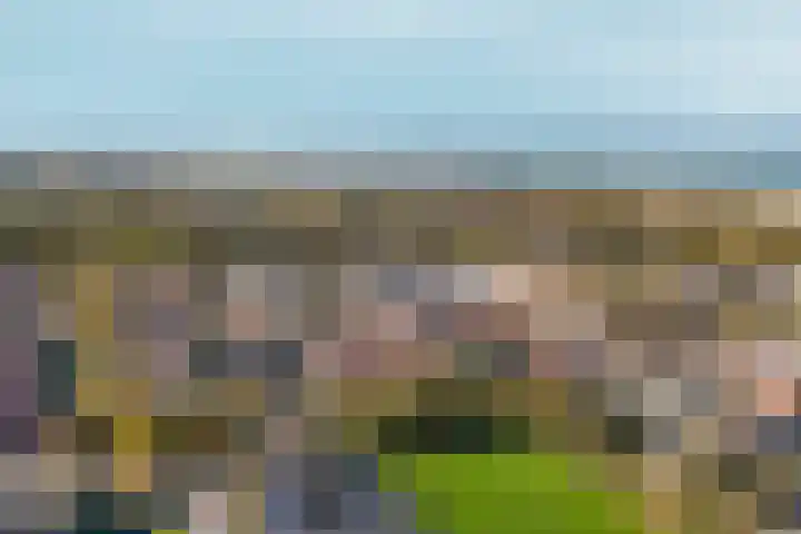 Laan van Meerdervoort 1299 Den Haag thumbnail 36