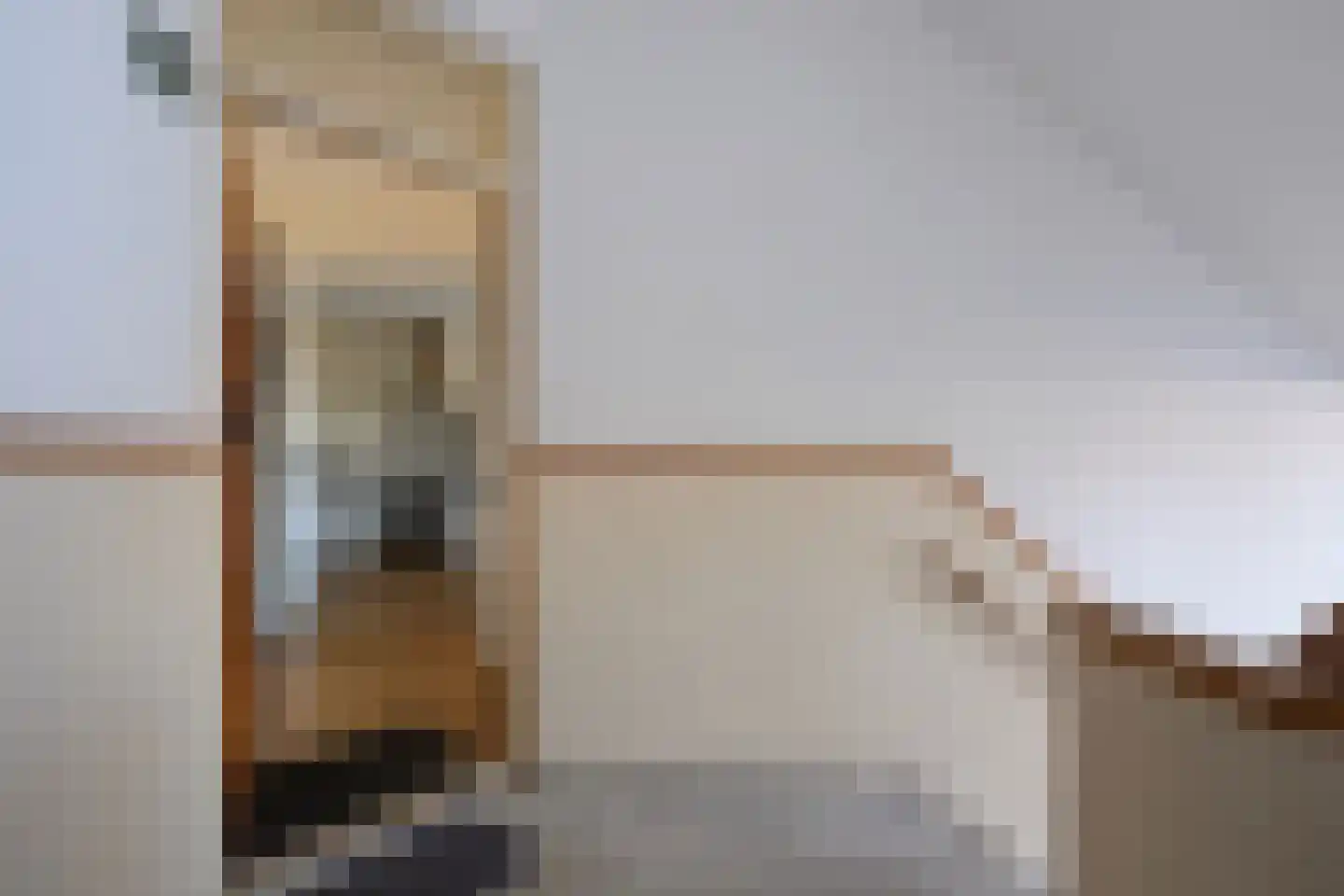 Laan van Meerdervoort 1300 Den Haag thumbnail 11