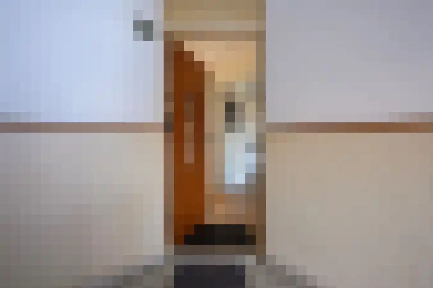 Laan van Meerdervoort 1300 Den Haag thumbnail 12