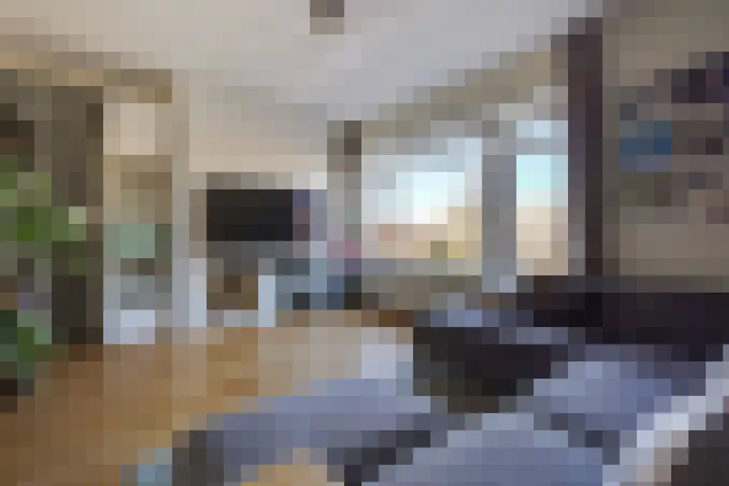 Laan van Meerdervoort 1300 Den Haag thumbnail 20