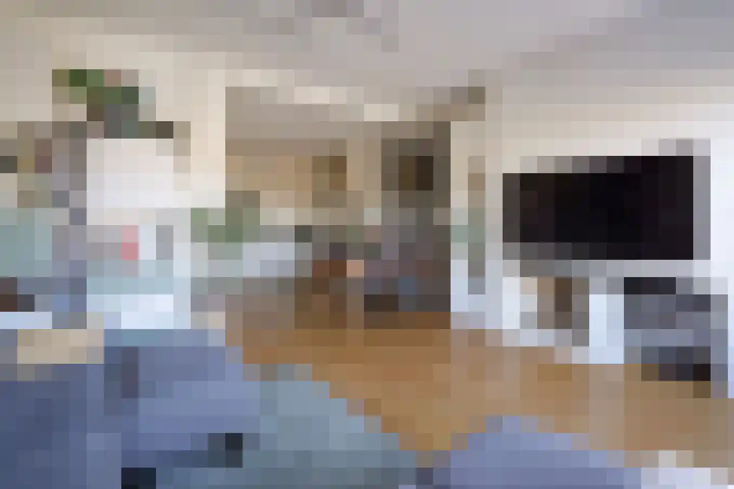 Laan van Meerdervoort 1300 Den Haag thumbnail 21
