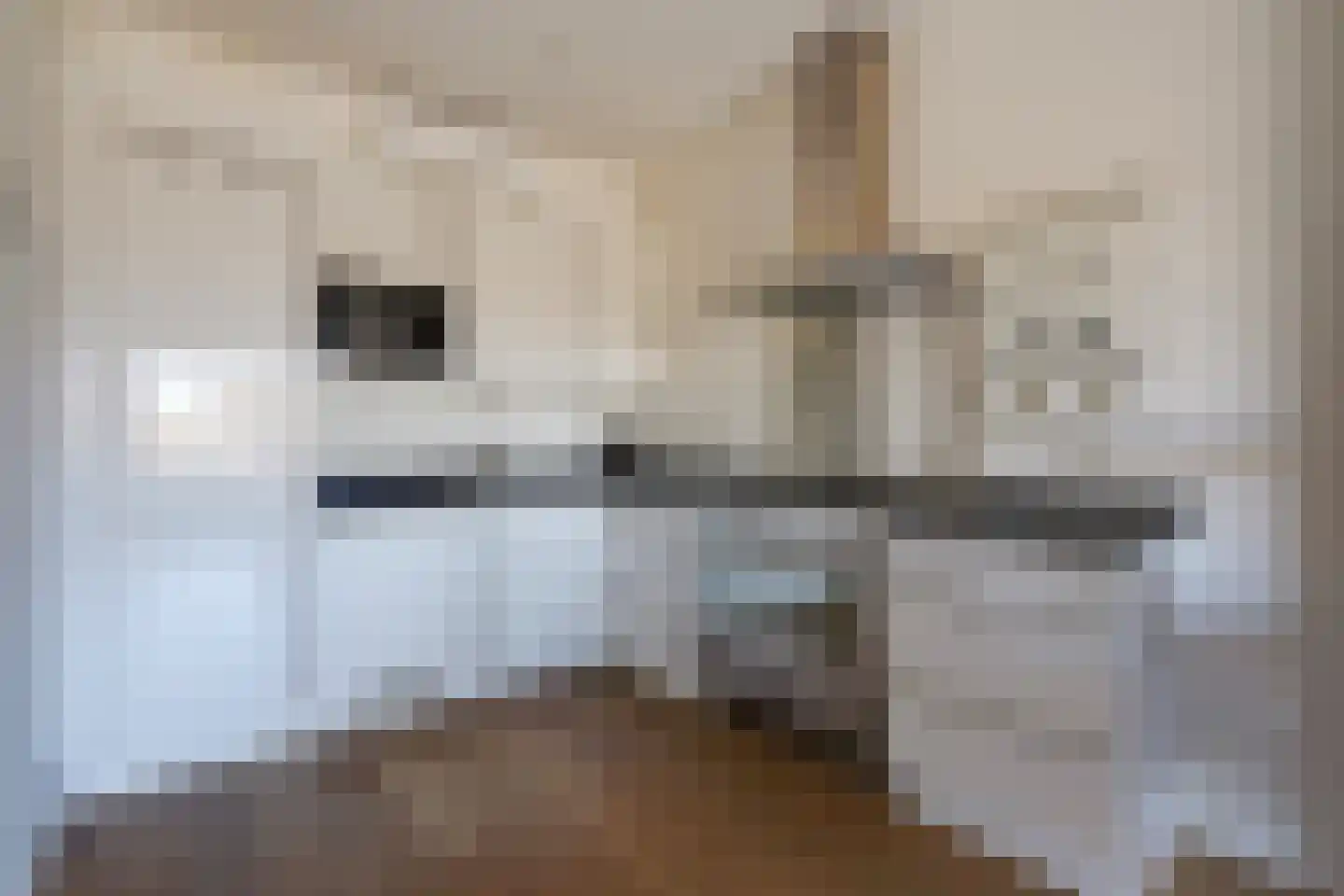 Laan van Meerdervoort 1300 Den Haag thumbnail 22