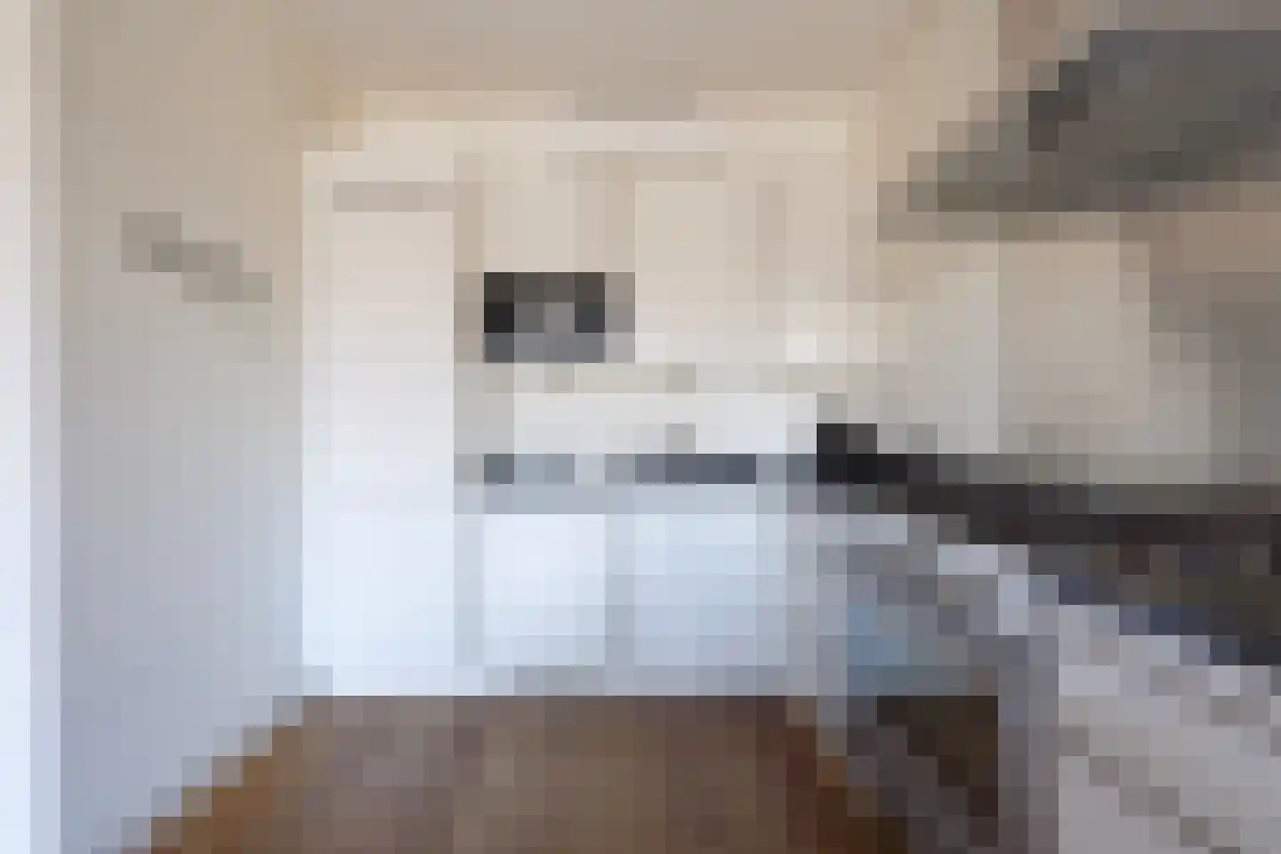Laan van Meerdervoort 1300 Den Haag thumbnail 25