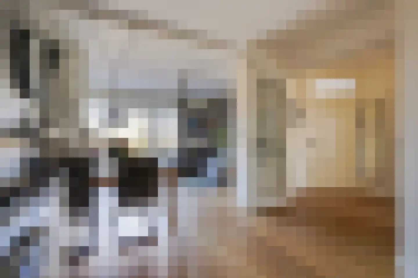 Laan van Meerdervoort 1300 Den Haag thumbnail 28