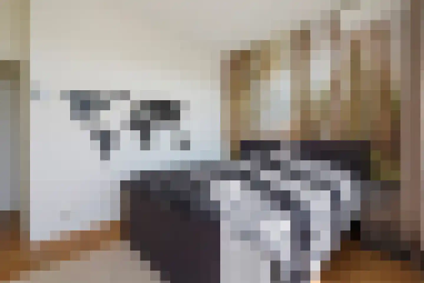 Laan van Meerdervoort 1300 Den Haag thumbnail 30