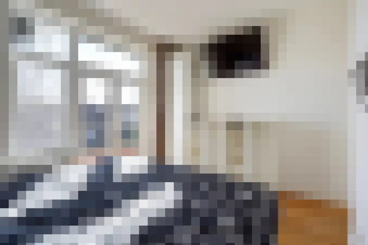 Laan van Meerdervoort 1300 Den Haag thumbnail 31