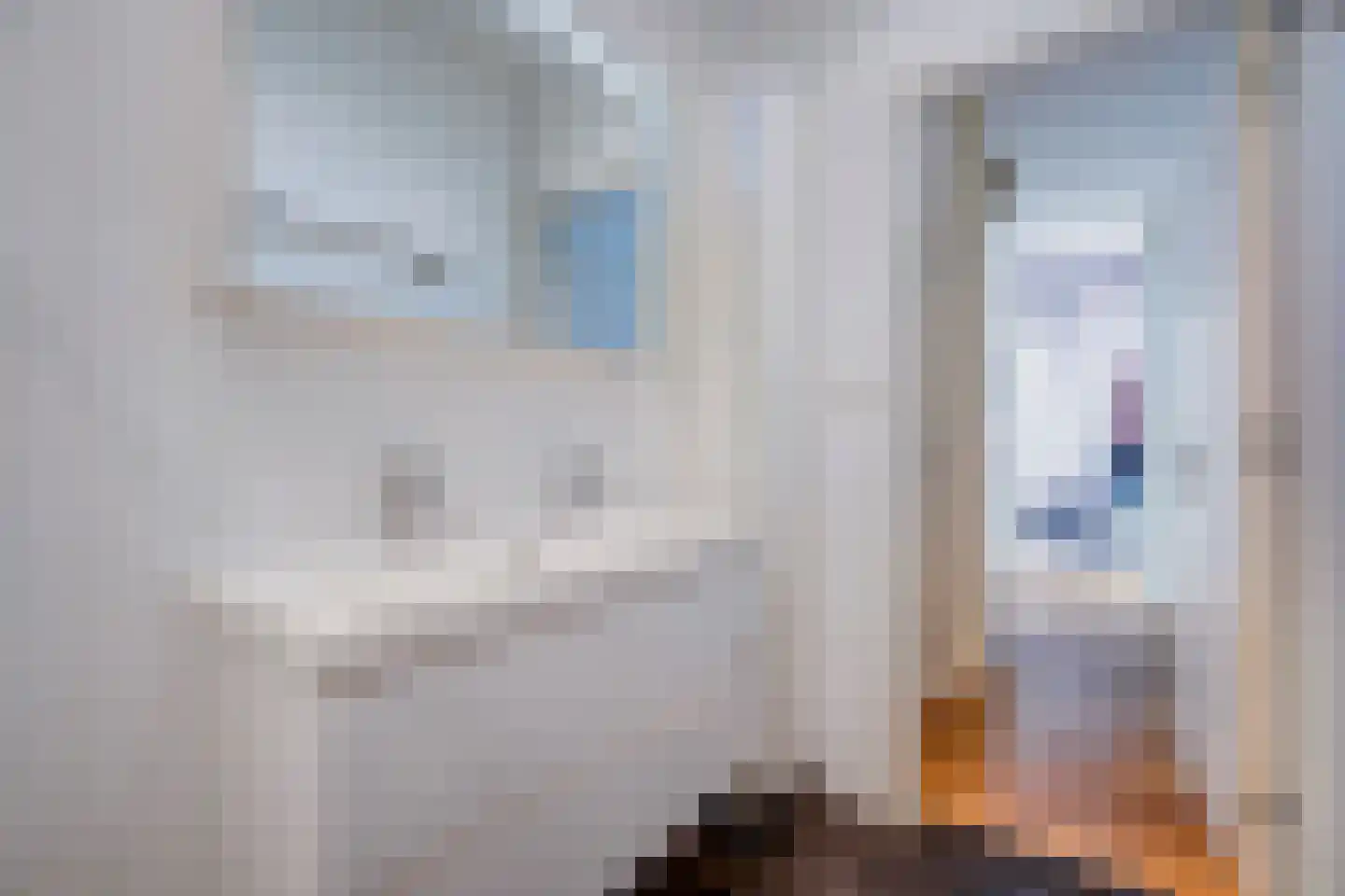 Laan van Meerdervoort 1300 Den Haag thumbnail 32