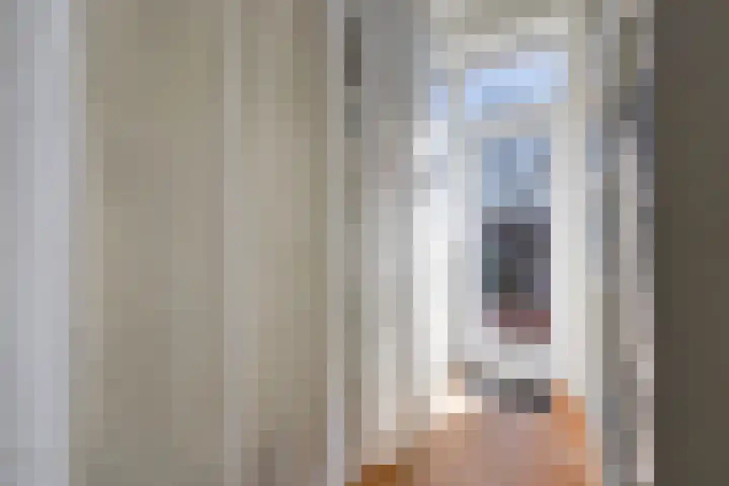 Laan van Meerdervoort 1300 Den Haag thumbnail 34