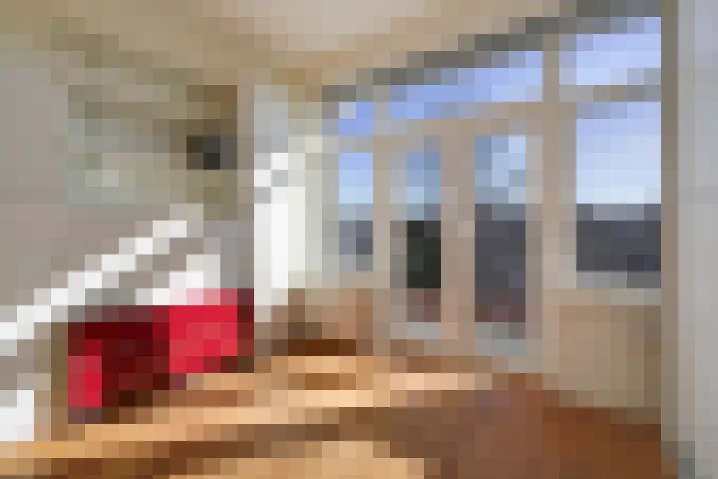 Laan van Meerdervoort 1300 Den Haag thumbnail 41