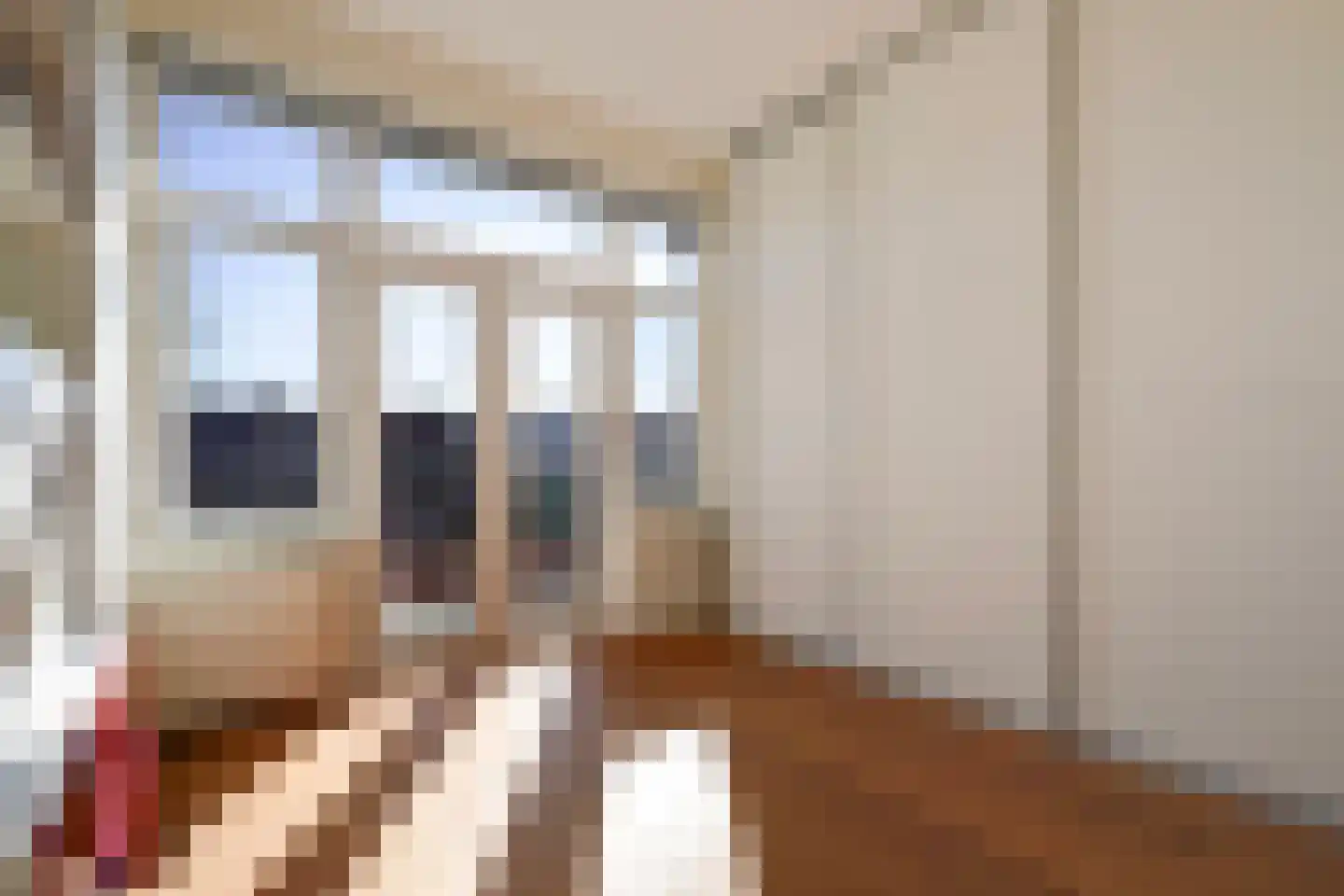 Laan van Meerdervoort 1300 Den Haag thumbnail 42