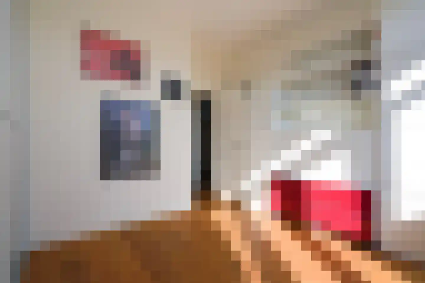 Laan van Meerdervoort 1300 Den Haag thumbnail 44