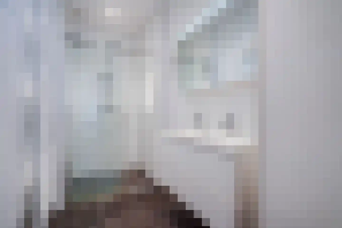 Laan van Meerdervoort 1300 Den Haag thumbnail 5