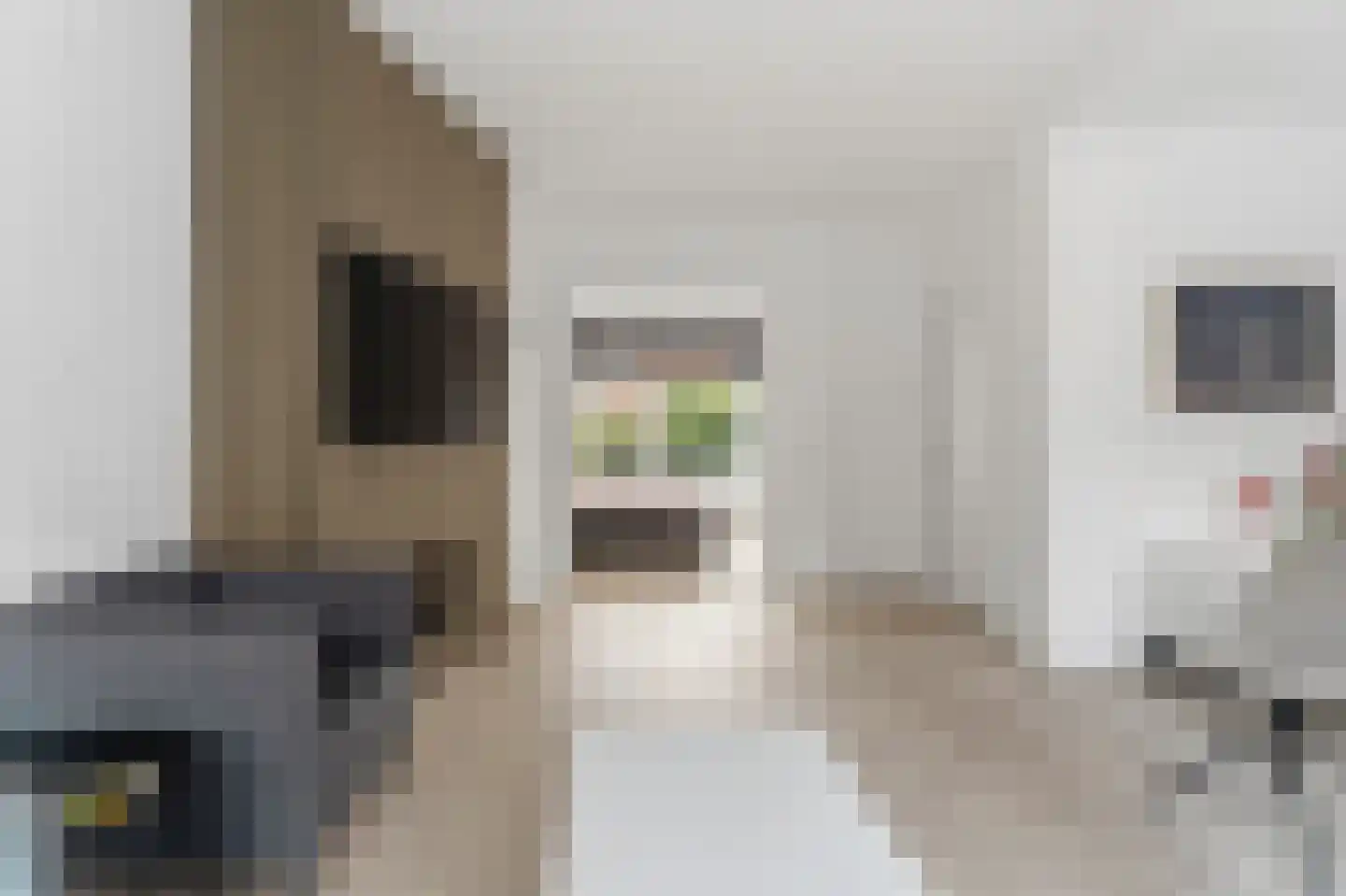 Laan van Meerdervoort 1303 Den Haag thumbnail 11