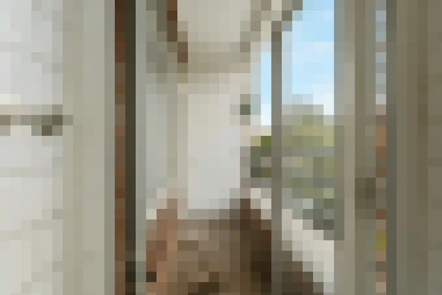 Laan van Meerdervoort 1303 Den Haag thumbnail 25