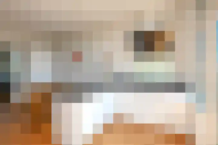 Laan van Meerdervoort 1312 Den Haag thumbnail 10