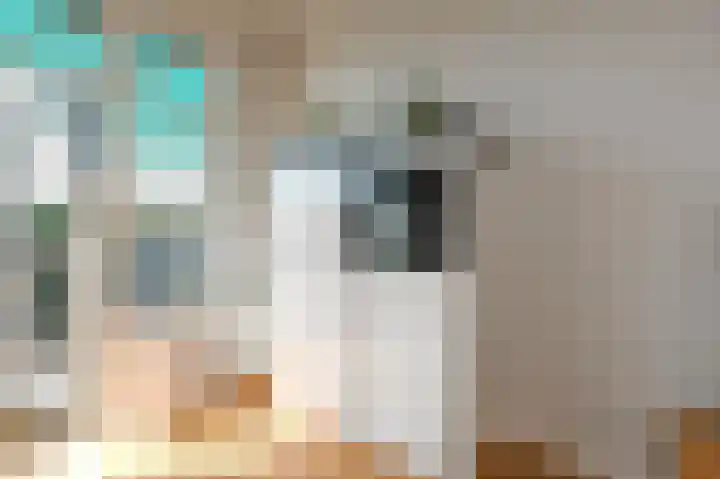Laan van Meerdervoort 1312 Den Haag thumbnail 11