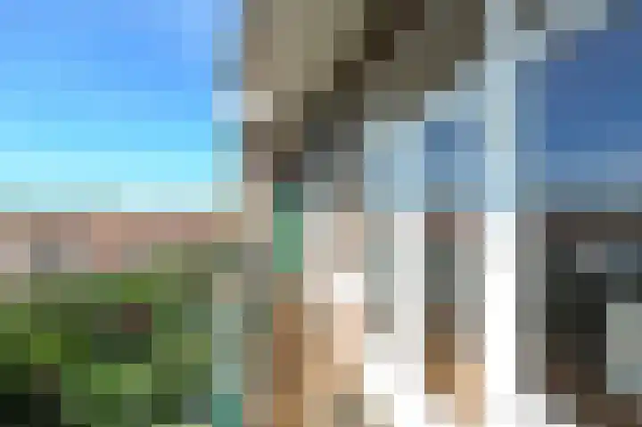 Laan van Meerdervoort 1312 Den Haag thumbnail 12