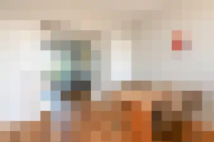 Laan van Meerdervoort 1312 Den Haag thumbnail 13