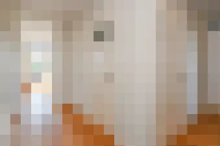 Laan van Meerdervoort 1312 Den Haag thumbnail 17