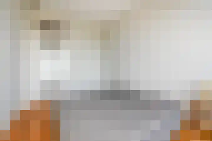 Laan van Meerdervoort 1312 Den Haag thumbnail 19