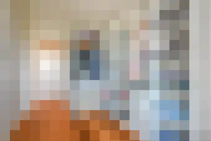 Laan van Meerdervoort 1312 Den Haag thumbnail 20
