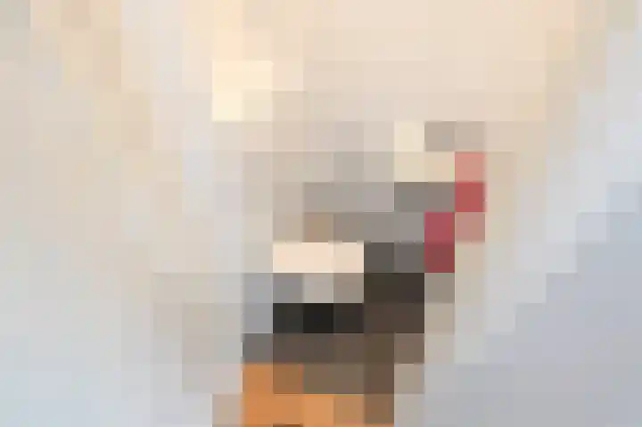 Laan van Meerdervoort 1312 Den Haag thumbnail 22