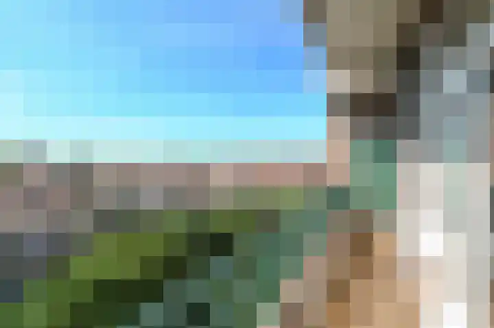 Laan van Meerdervoort 1312 Den Haag thumbnail 4