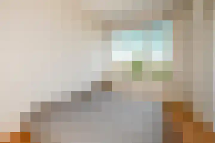 Laan van Meerdervoort 1312 Den Haag thumbnail 5