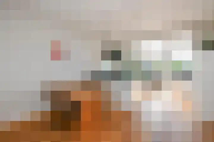 Laan van Meerdervoort 1312 Den Haag thumbnail 9