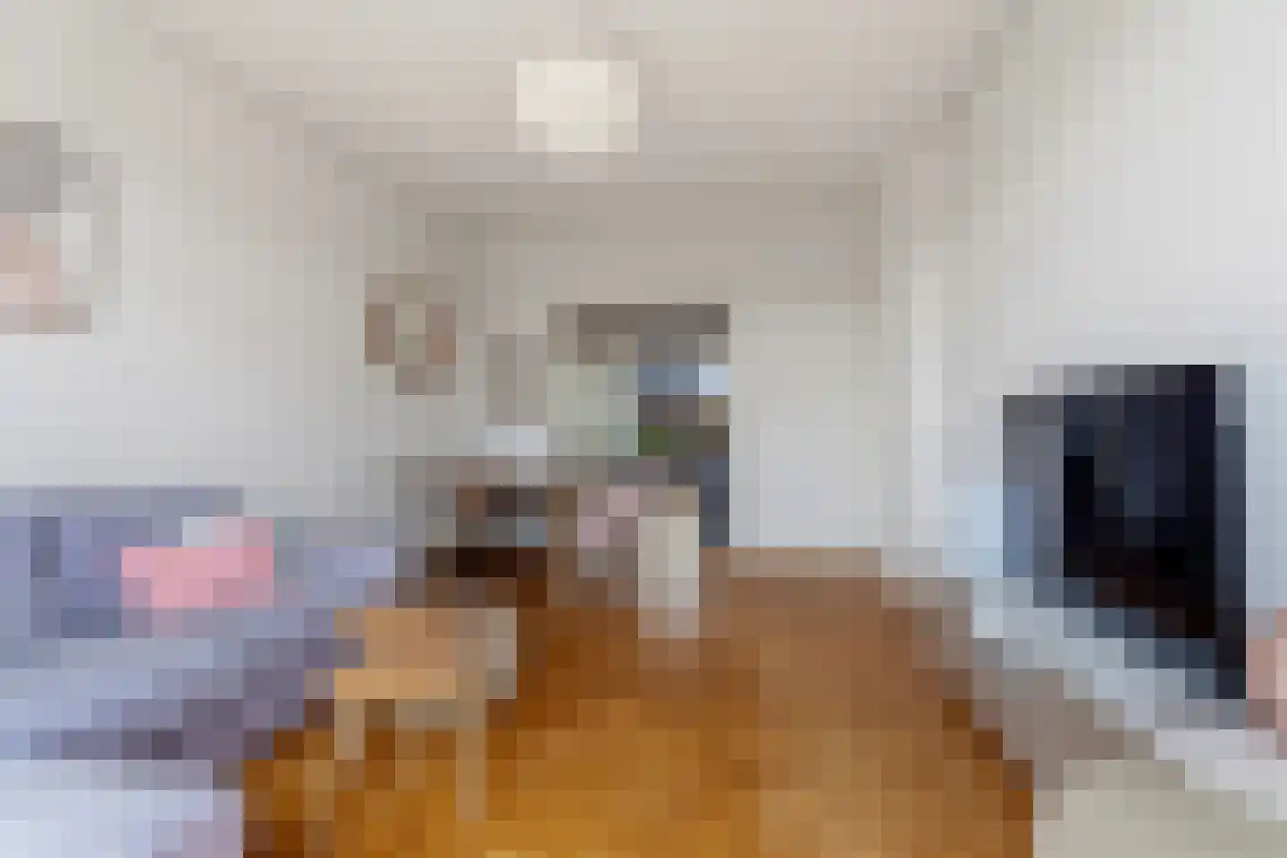 Laan van Meerdervoort 1322 Den Haag thumbnail 20