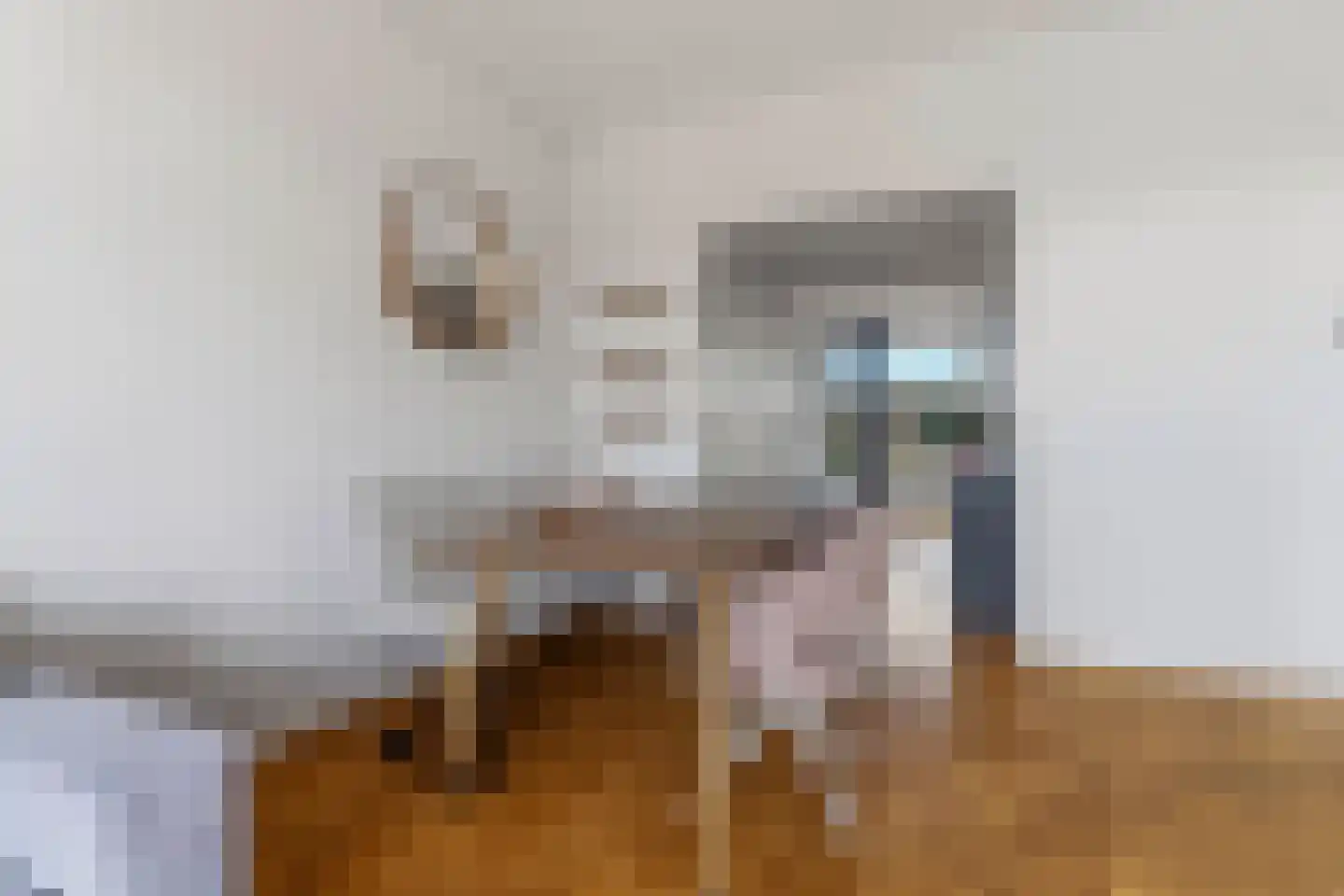 Laan van Meerdervoort 1322 Den Haag thumbnail 21