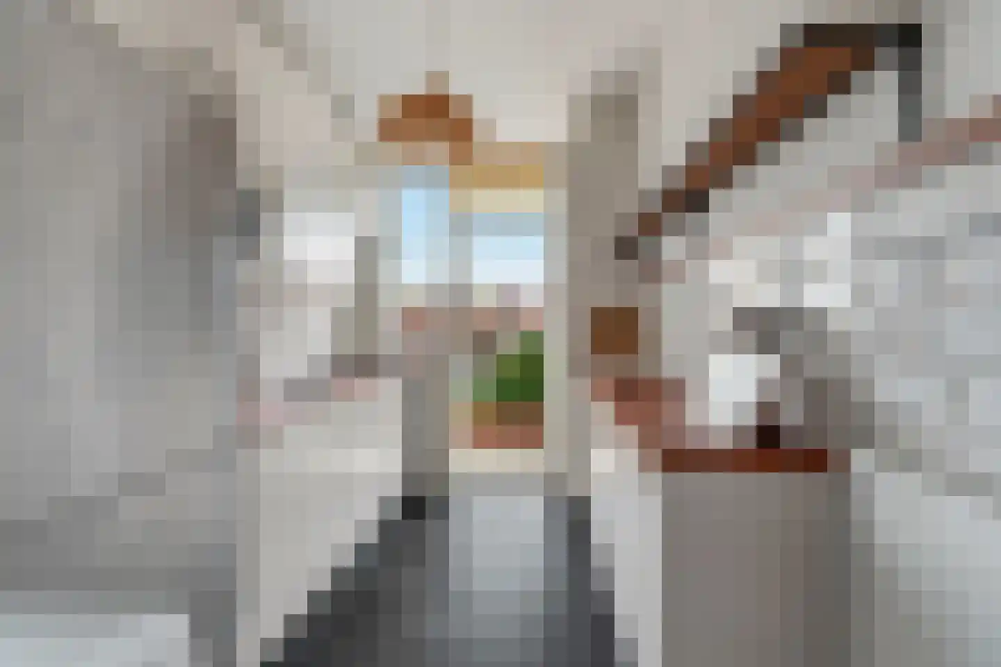 Laan van Meerdervoort 1322 Den Haag thumbnail 29
