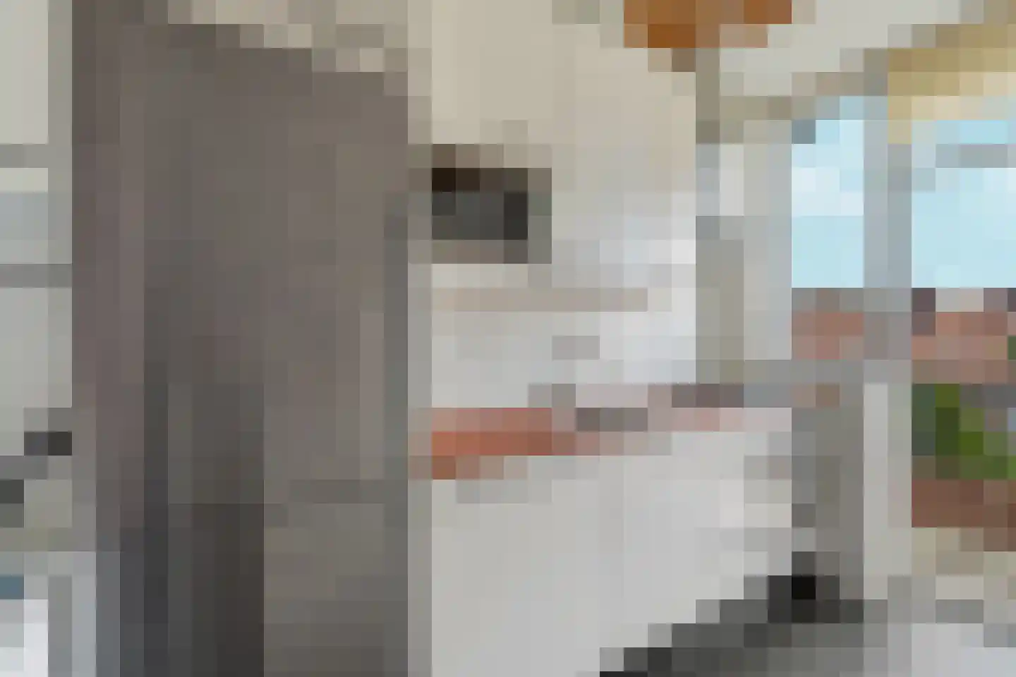 Laan van Meerdervoort 1322 Den Haag thumbnail 30