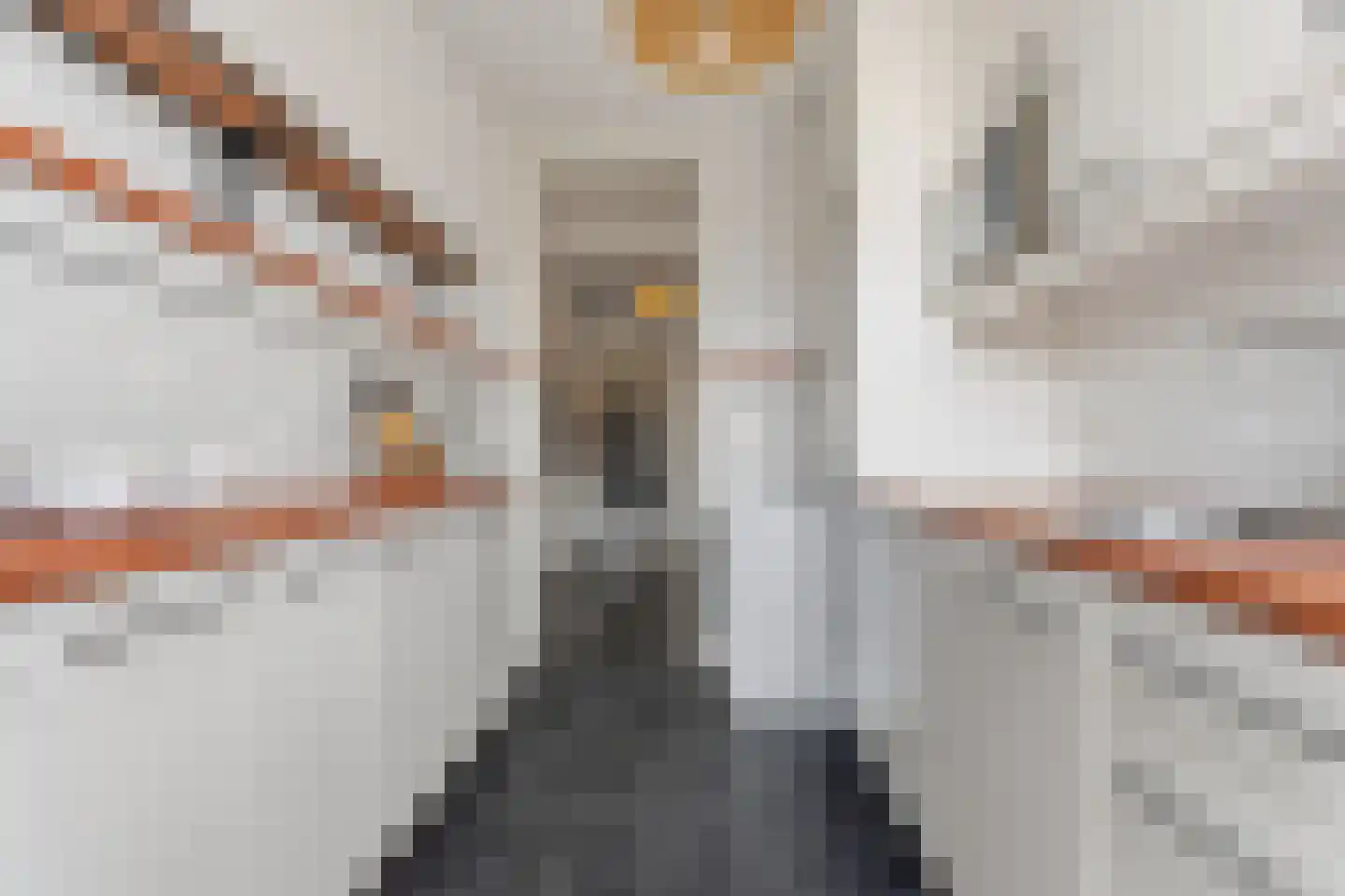 Laan van Meerdervoort 1322 Den Haag thumbnail 32