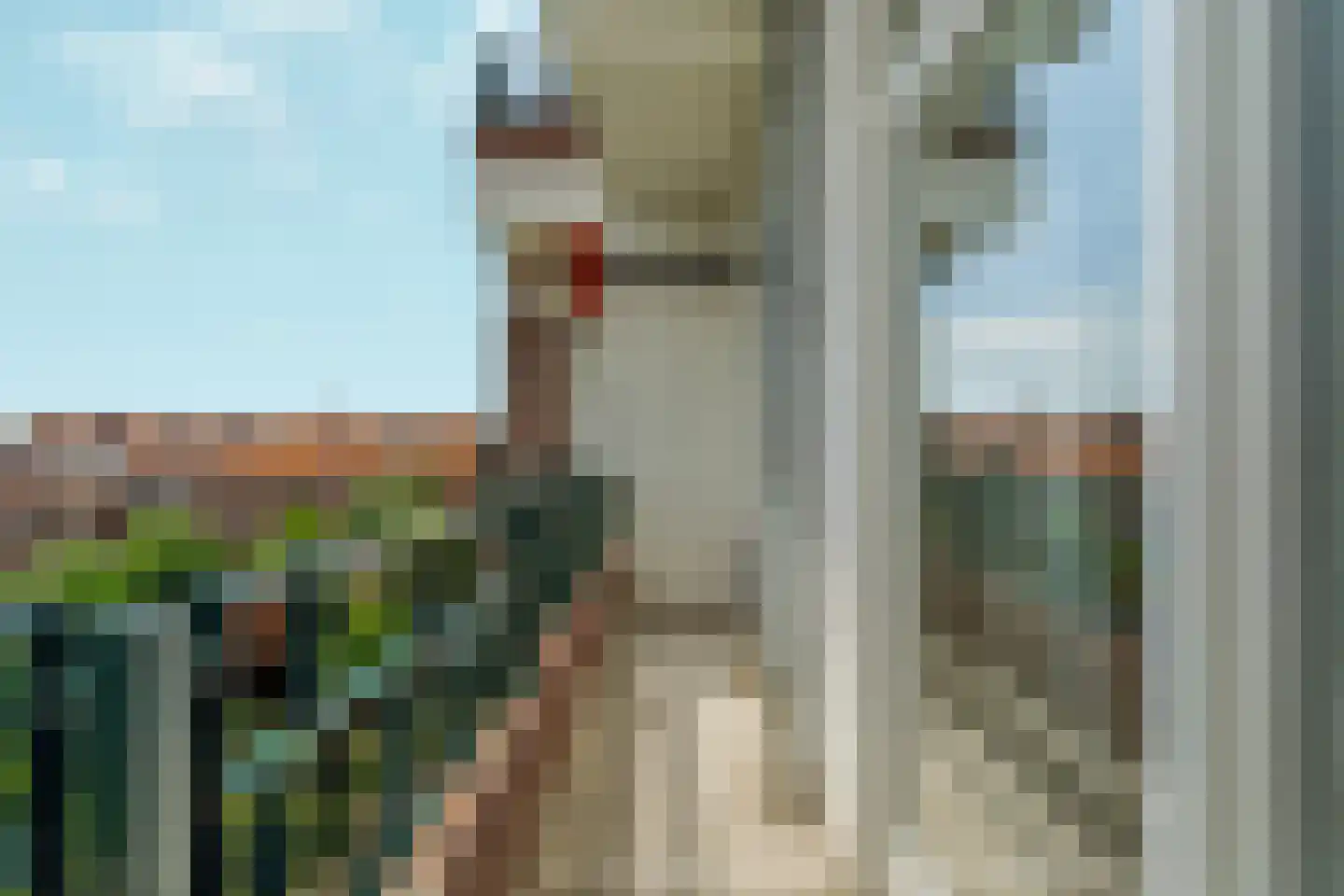 Laan van Meerdervoort 1322 Den Haag thumbnail 36