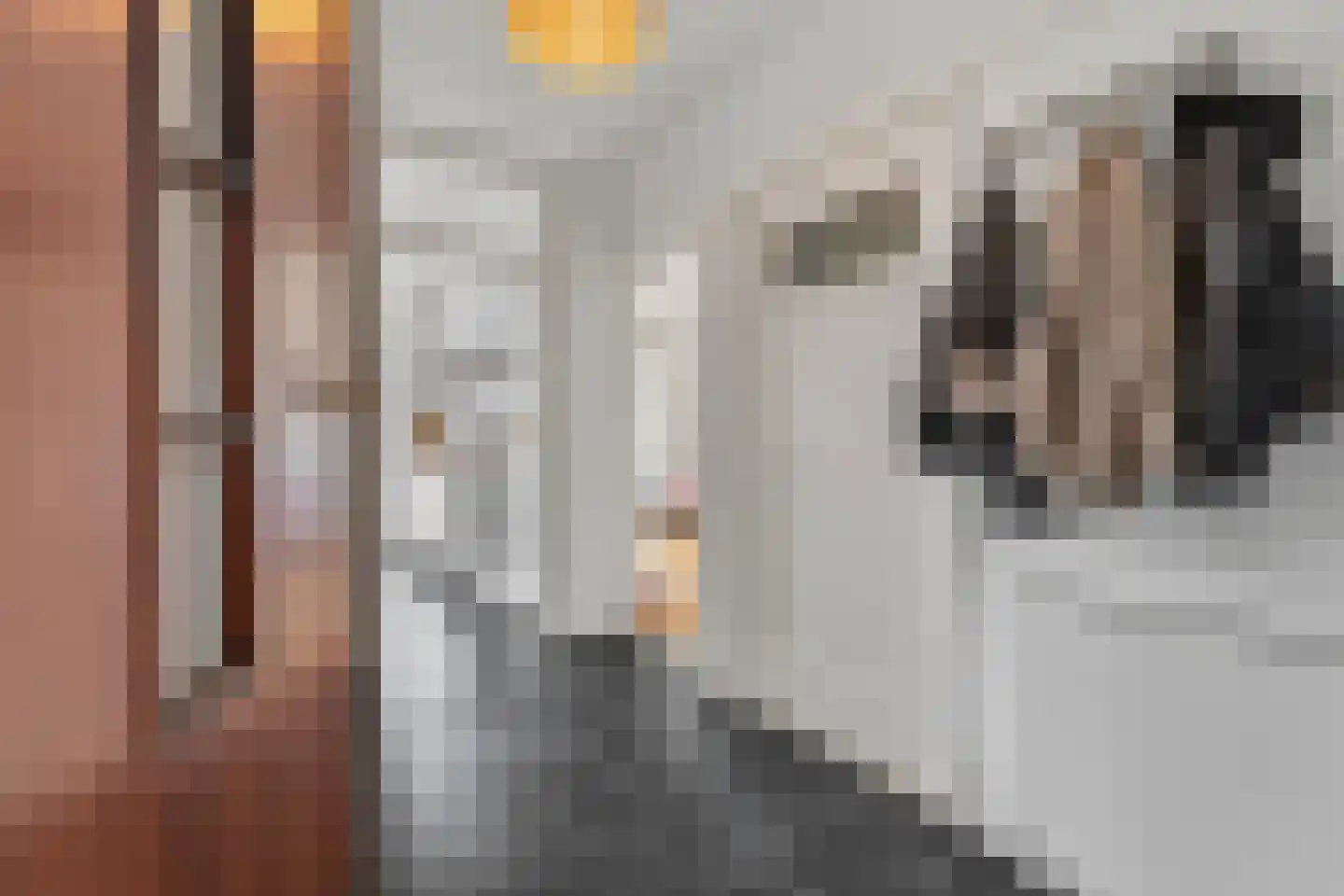 Laan van Meerdervoort 1322 Den Haag thumbnail 9
