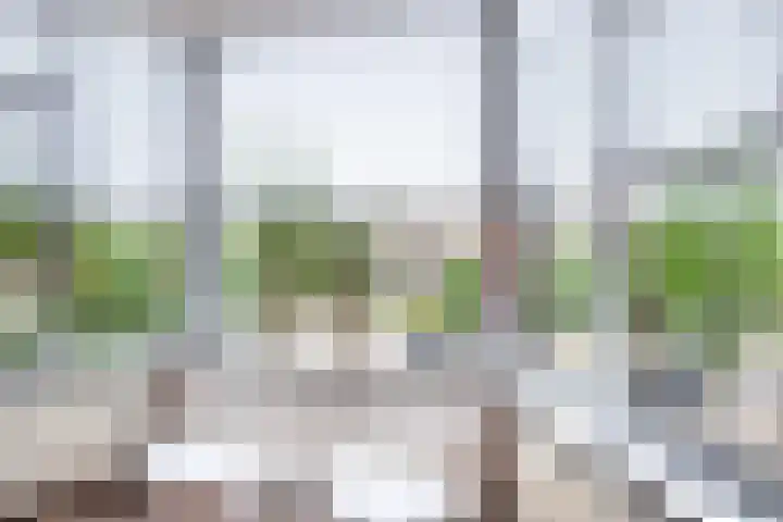 Laan van Meerdervoort 1336 Den Haag thumbnail 10