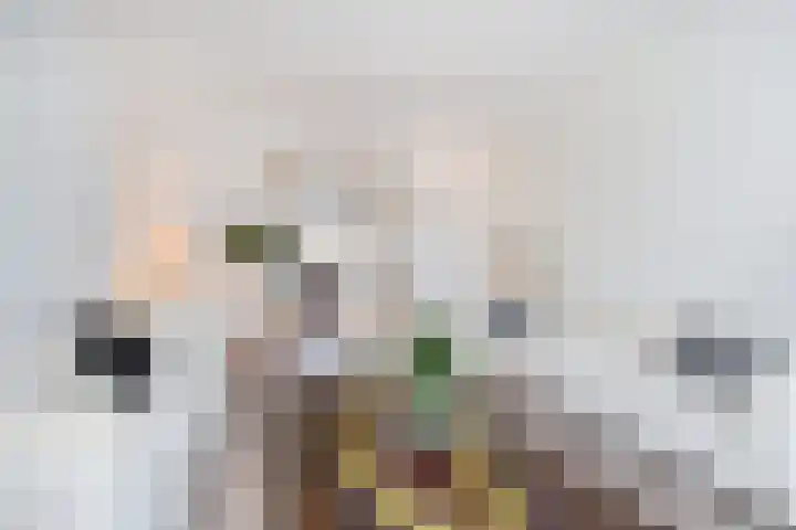 Laan van Meerdervoort 1336 Den Haag thumbnail 12