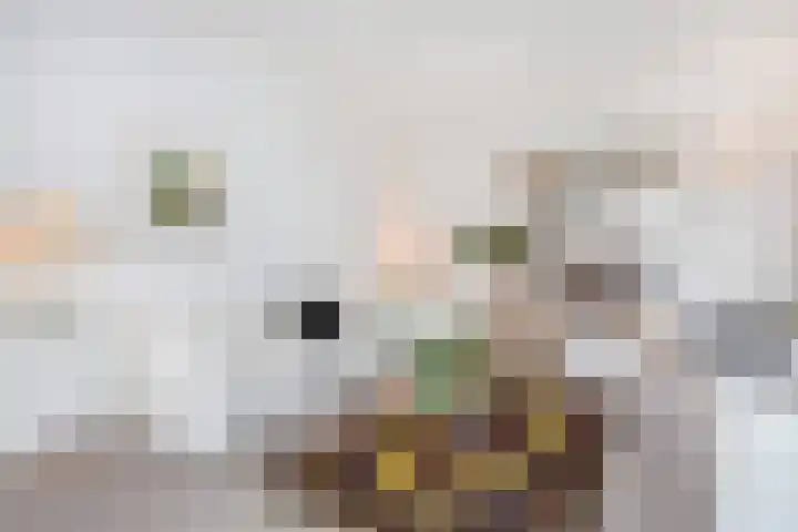 Laan van Meerdervoort 1336 Den Haag thumbnail 13