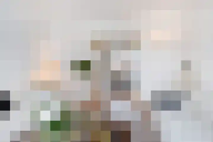 Laan van Meerdervoort 1336 Den Haag thumbnail 14