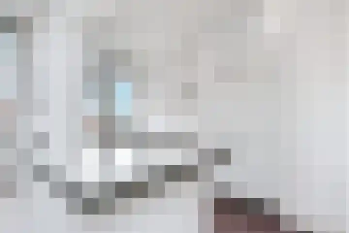 Laan van Meerdervoort 1336 Den Haag thumbnail 19