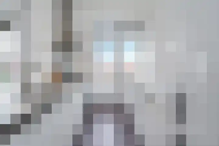 Laan van Meerdervoort 1336 Den Haag thumbnail 20