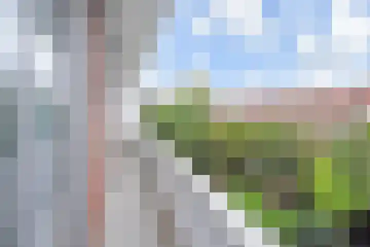 Laan van Meerdervoort 1336 Den Haag thumbnail 22