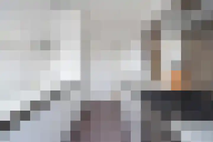 Laan van Meerdervoort 1336 Den Haag thumbnail 23