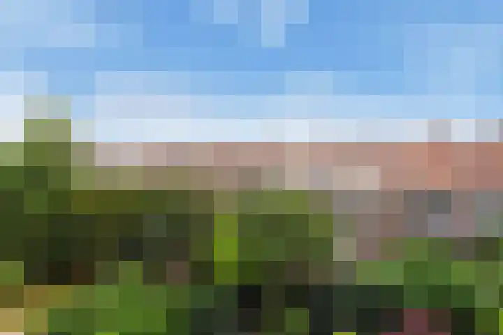 Laan van Meerdervoort 1336 Den Haag thumbnail 26